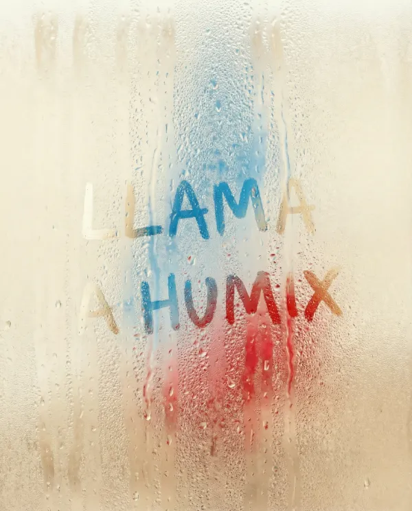 Problemas de humedad por condensación en Tenerife